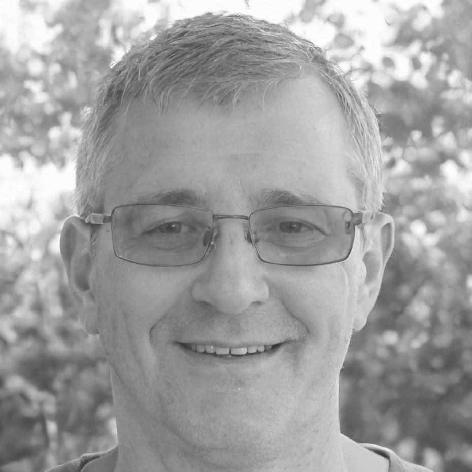 Risikoanalyst Viktor Neumann